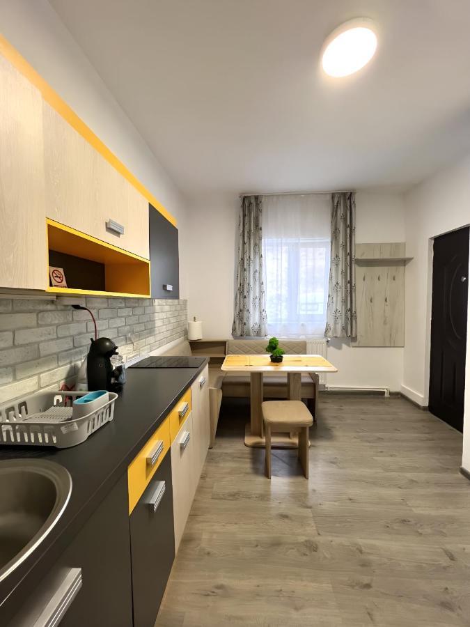 Salt Mine Retreat - Free Parking Apartment Turda Exterior photo